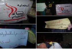 فعالية مُناهضة لحكم العسكر لحركة نساء الدقهلية ضد الإنقلاب بمدينة طلخا