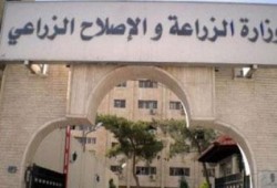 فى عهد الانقلاب: منح الضبطية القضائية لـ 30 ألف مهندس زراعي