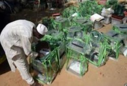 مؤشرات أولية.. تقدم المرشح الإسلامي محمد بخاري في انتخابات الرئاسة النيجيرية