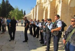 مستوطنون صهاينة يقتحمون الأقصى تحت حراسة شرطة الاحتلال