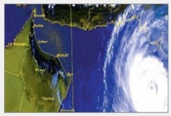 "الأرصاد": طقس اليوم ربيعى معتدل على شمال البلاد