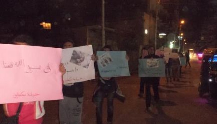 الشرقية: فاعلية ليلية لحركة مكملين بأبوكبير بعنوان "قطار الثورة"