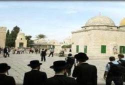 اقتحام 30 مستوطنا صهيونيا للأقصى صباح اليوم.. وقوات الاحتلال تعتقل 8 فلسطينيين