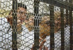 12 ألف سنة سجنا و194 إعداما بالربع الأول من 2015 لرافضي الانقلاب