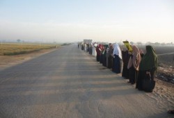 الشرقية.. ثوار الحسينية ينددون بأحكام الإعدام الجماعية وجرائم العسكر