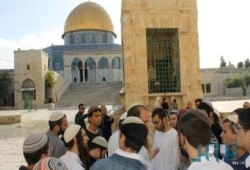فلسطين.. 134 مستوطنًا يهوديًّا يقتحمون المسجد الأقصى