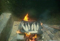 فى عهد الانقلاب: قرى الفيوم تعود للعصور البدائية في الطهي بسبب أزمة الغاز