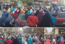 مسيرة حاشدة لثوار المعادي ضمن فعاليات "أوقفوا إعدام الوطن‬"