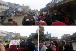 ثوار الإسكندرية ينتفضون ضمن فاعليات "أوقفوا إعدام الوطن"