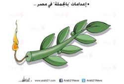 كاريكاتير : السلمية توشك...