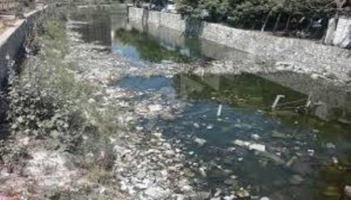 ترعة كفر الجزيرة في بني سويف .. مصدرا للأوبئة والامراض