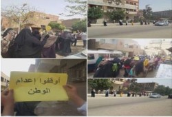 فعاليتين لثوار حلوان ضد حكم العسكر ضمن أسبوع "الصمود طريق النصر"