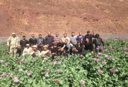 (الجيش والهيروين) .. قصة التجارة المحمية في مصر ومافيا كبار الدولة
