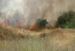 نحس الانقلاب:  النيران تجتاح زراعات القمح بدكرنس بسبب أهمدة الضغط العالي