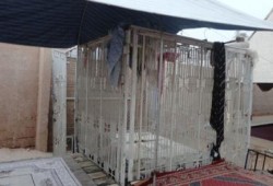 "أقفاص الكساسبة" لحماية النساء والأطفال ليلا بموريتانيا
