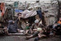 الأمم المتحدة: مصر من "أتعس" دول العالم فى عهد الانقلاب