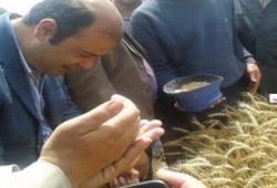 المخزون الاستراتيجي للقمح قارب على الفناء.. وخبراء: لم يحدث هذا ولا حتى في زمن الحرب