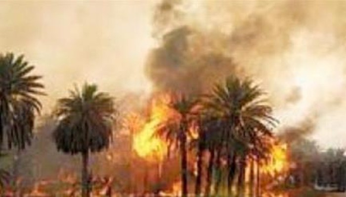 نحس الانقلاب: احتراق فدانين من أشجار النخيل والزيتون في واحة سيوة