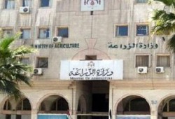 استمراراً لفشل الانقلاب .. حكومة الانقلاب تفشل في توفير الأسمدة للفلاحين الصيف المقبل !