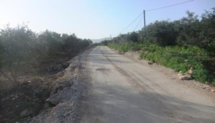 الشرقية:  أهالى 13 قرية بمنشأة عمر يصرخون من البلطجية ويطالبون برصف الطرق