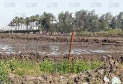 فلاحو سرسو بالدقهلية: الشرطة طردتنا من أرضنا لصالح رجل أعمال