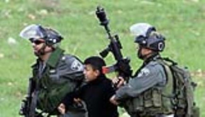 قوات الاحتلال تعتقل 12 فلسطينيا فى مناطق متفرقة