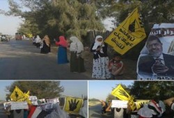 البحيرة :  سلسلة بشرية لثوار البستان الجديد تحت شعار "العمال طليعة الثورة"