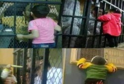 حقوقي: ميلشيات الأمن تمارس التعذيب وتعتقد أنها فوق القانون