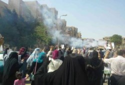 فيديو.. ثوار القاهرة الجديدة ينددون بتردي الأوضاع الاقتصادية
