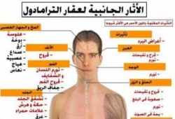 15 مليون حبة ترامادول تدخل مصر في عهد الانقلاب