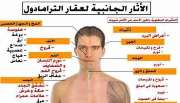 15 مليون حبة ترامادول تدخل مصر في عهد الانقلاب