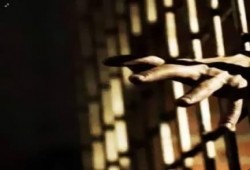 العربية لحقوق الإنسان ببريطانيا تتقدم ببلاغين بشأن تعرض معتقلين بـالدقهلية للتعذيب