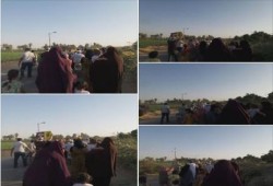 الاقصر: مسيرة لتحالف دعم الشرعية بقرية الحبيل