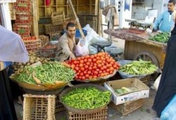 على نهج وزير تموين الانقلاب.. رئيس الغرفة التجارية: اشتروا بامية مجمدة
