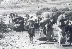 "آي نكبة".. تطبيق للهواتف ينقلك لفلسطين قبل التهجير