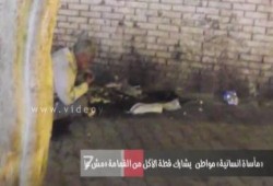 بالفيديو .. رجل يأكل من القمامة بجوار القطط .. والسيسي يطالب الشعب بمزيد من التضحية