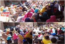 فيديو.. أحرار الجيزة يواصلون حراكهم الثوري بـ12 فعالية عقب صلاة الجمعة