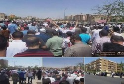 الهرم تتصدر المشهد الثوري في أسبوع "الثورة أقوى"