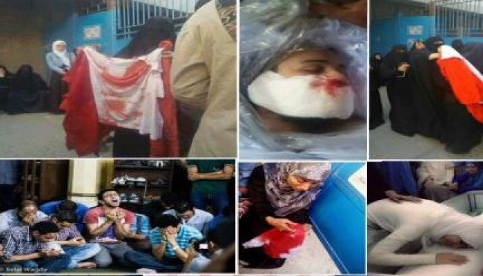 فيديو.. شقيقة شهيد "عرب شركس" عبد الرحمن سيد تكشف تفاصيل آخر لقاء معه