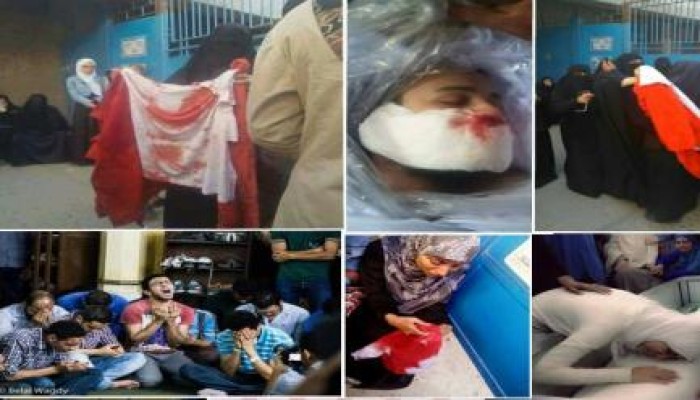 فيديو.. شقيقة شهيد "عرب شركس" عبد الرحمن سيد تكشف تفاصيل آخر لقاء معه