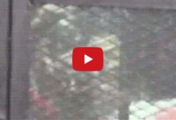 بالفيديو.. الدكتور بديع يردد التكبيرات في وجه قضاة الانقلاب