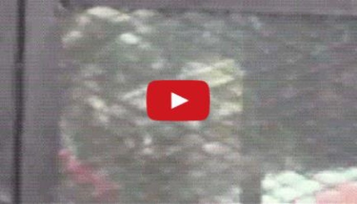بالفيديو.. الدكتور بديع يردد التكبيرات في وجه قضاة الانقلاب