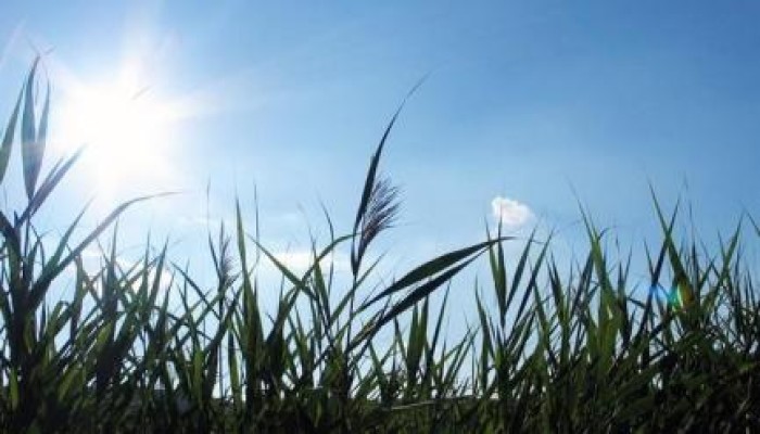 الأرصاد: ارتفاع بدرجات الحرارة.. والعظمى بالقاهرة 36