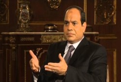 خبراء: مشروع زراعة 100 مليون شجرة زيتون مجرد "شو إعلامي"