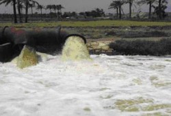 "المونيتور": تلوث مياه النيل وصل مستويات خطيرة وسط غياب المسئولين