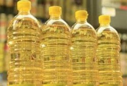 " الخازووق " قبل رمضان.. 20 % ارتفاع في سعر زجاجة الزيت