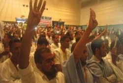 مهرجان في موريتانيا لدعم أنصار الشرعية بمصر
