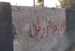 وقفة وحملة "جداريات" بالدقهلية رافضا لأحكام الإعدام