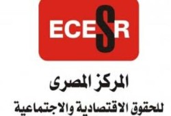 "المصري للحقوق والحريات": الاحتجاجات العمالية في القطاع الحكومة وصلت 69%