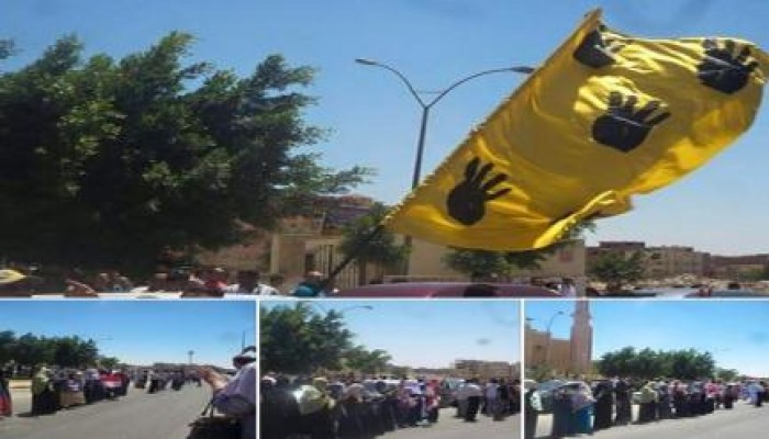 فيديو.. أحرار الدقهلية والغربية يواصلون حراكهم الثوري